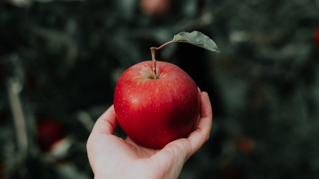 Apfel in der Hand