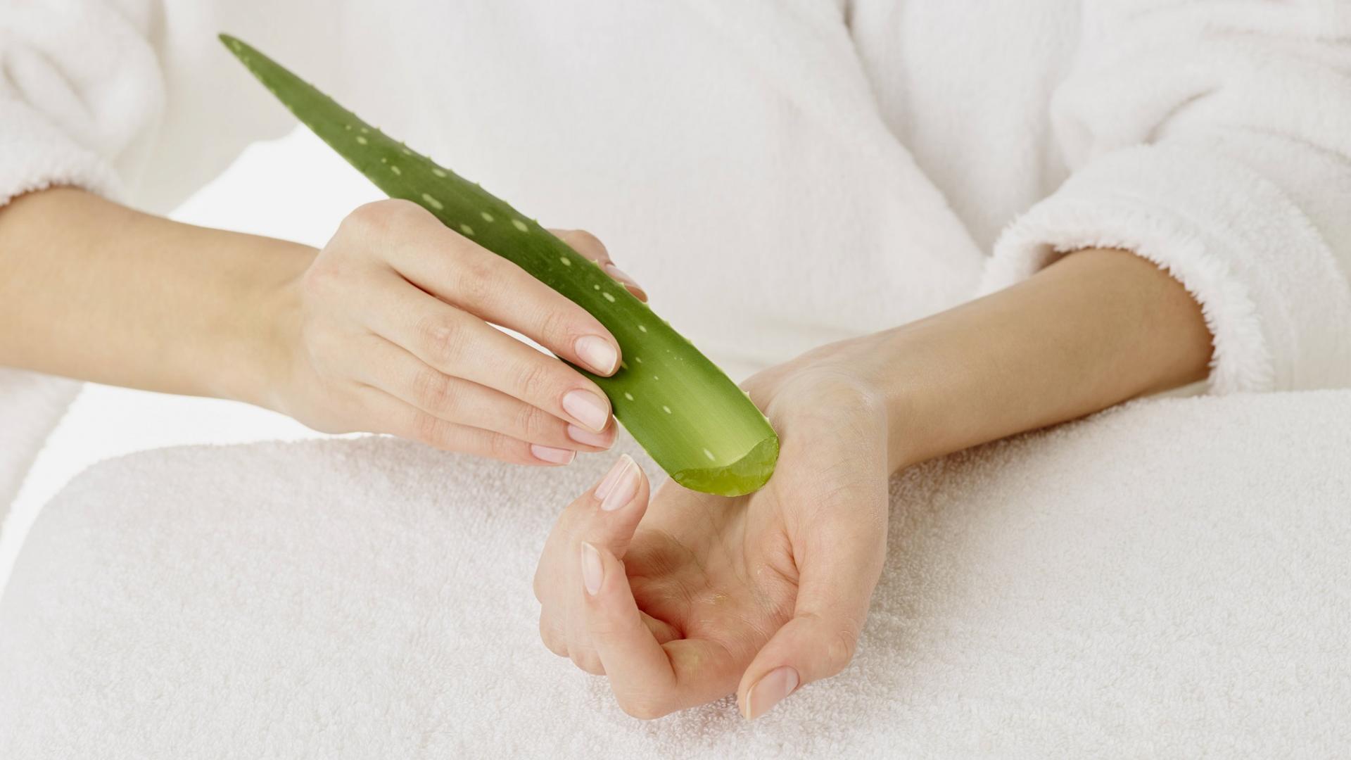 Aloe vera maske diy anleitung haare haut gesicht körper