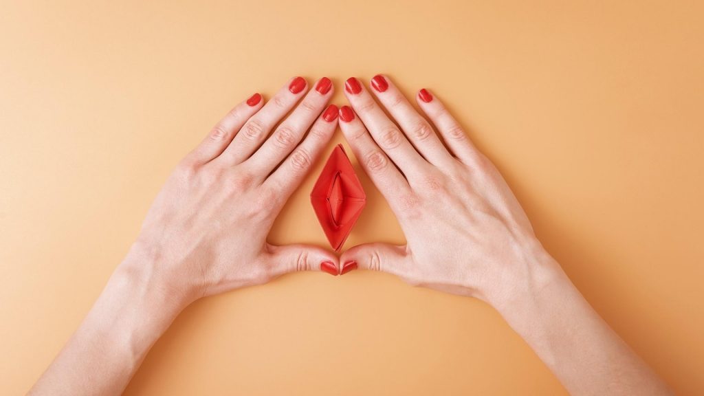 Vulva Form Vagina Typ