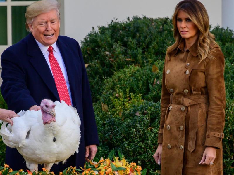 Donald Trump Thanksgiving