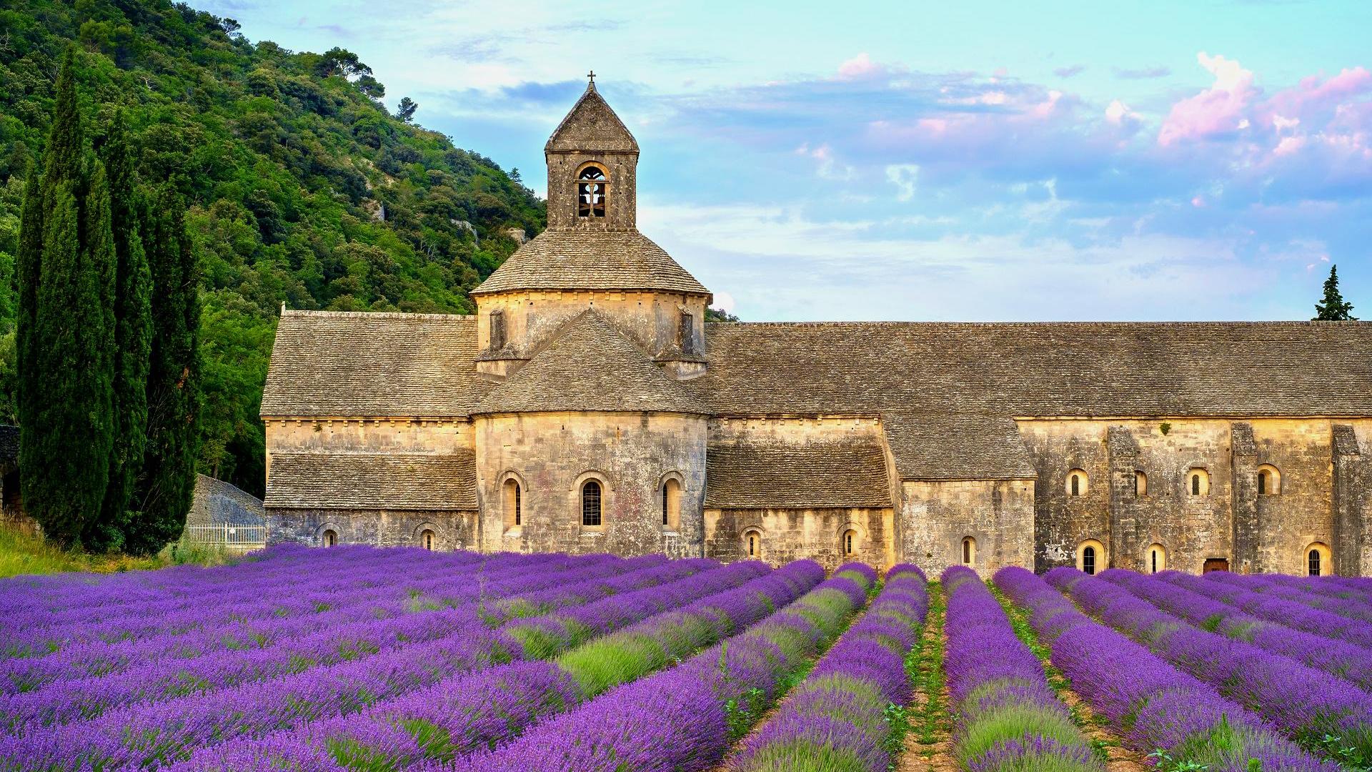 Heiraten im Ausland in der Provence auf einem Lavendelfeld