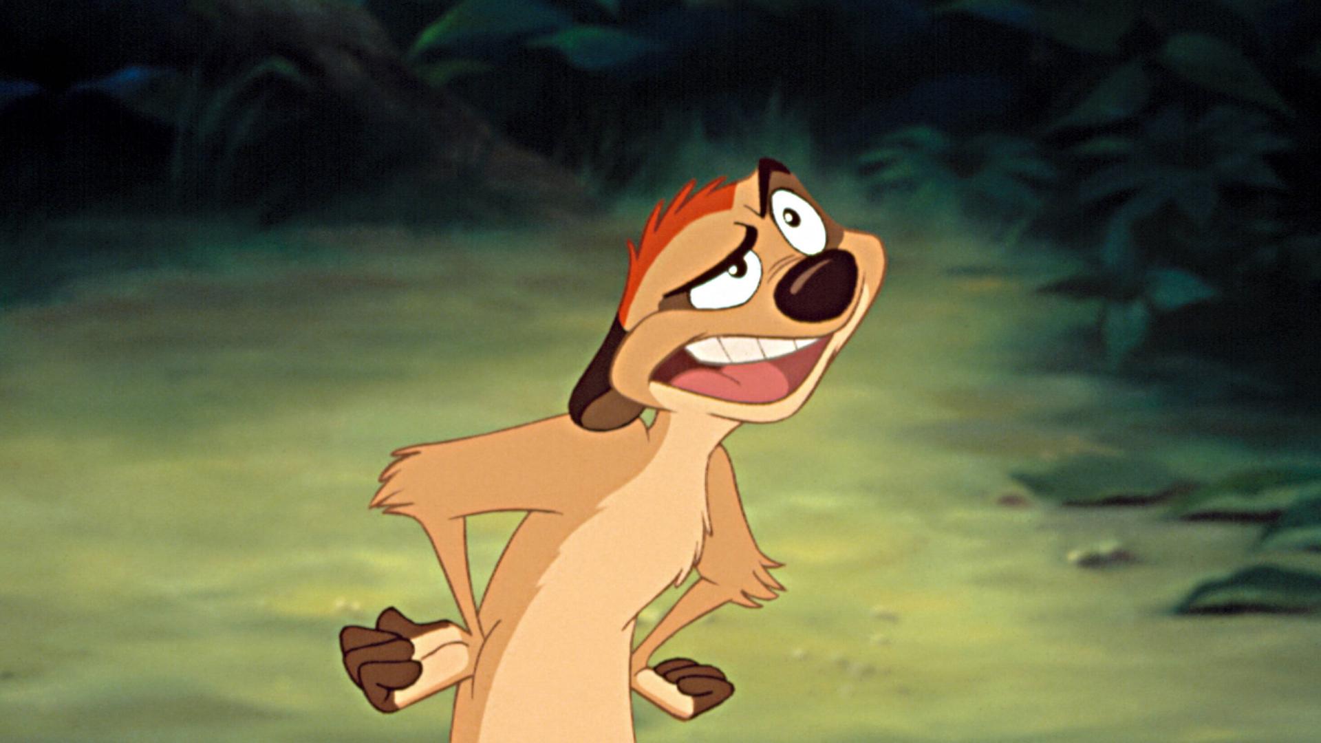 Timon disney könig der löwen