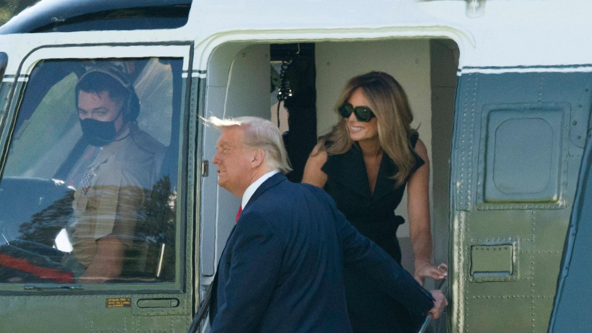 Fake Melania