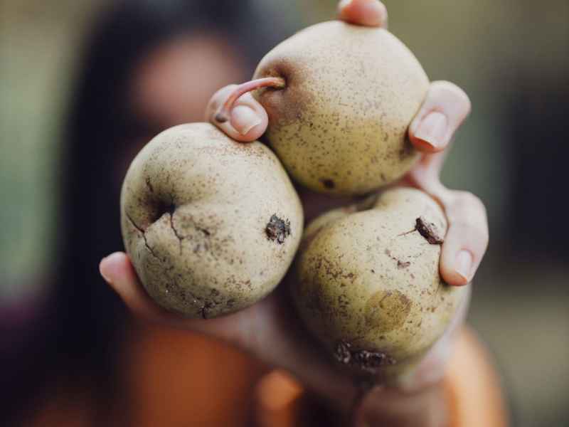 birne frau hand essen lecker obst