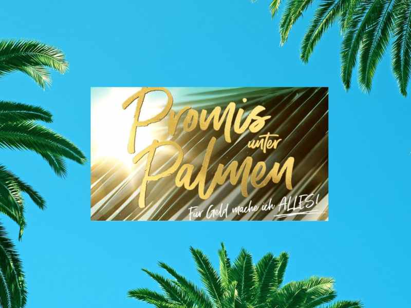 Promis unter Palmen