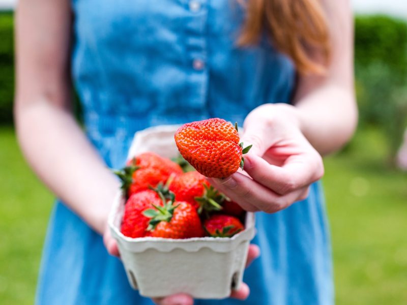 Frau Erdbeeren