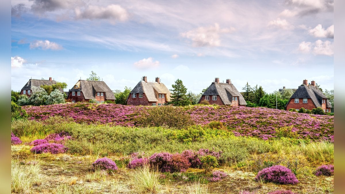 Prägen den Charme der Insel Sylt: Reetdachhäuser. © K I Photography/Shutterstock.com