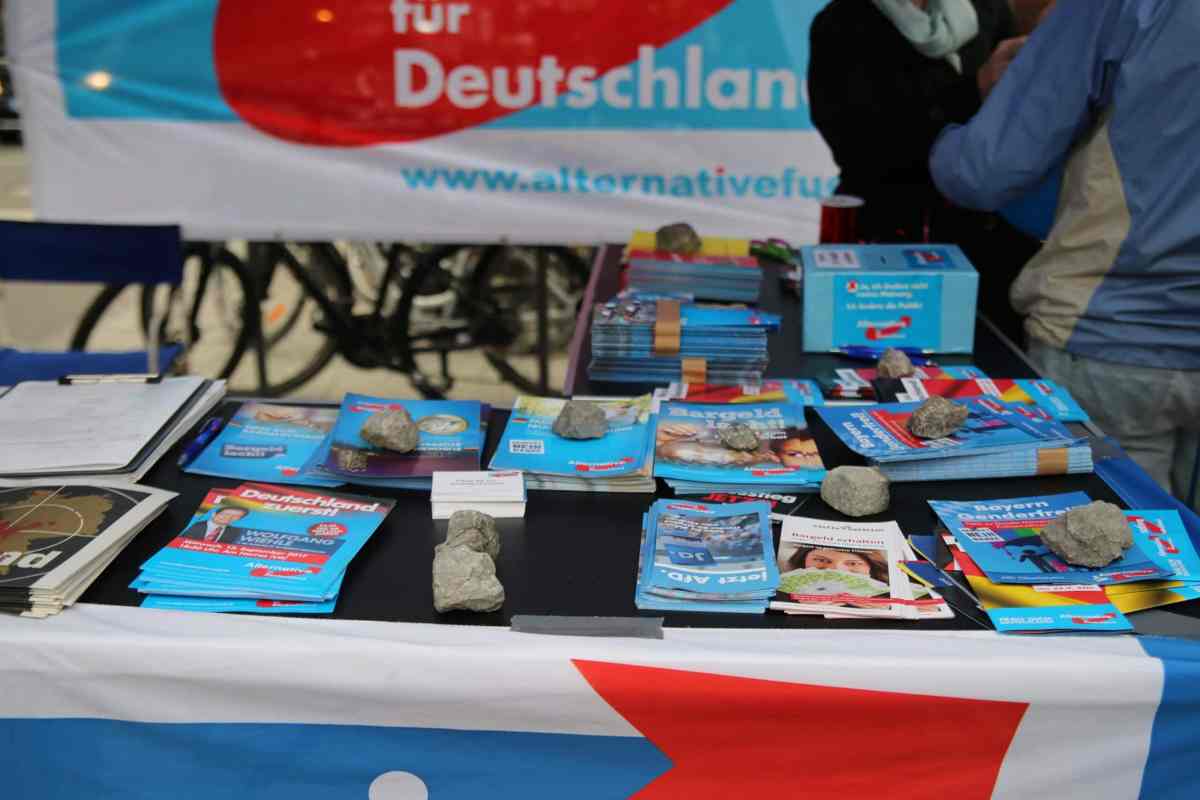 AfD Wahlwerbung