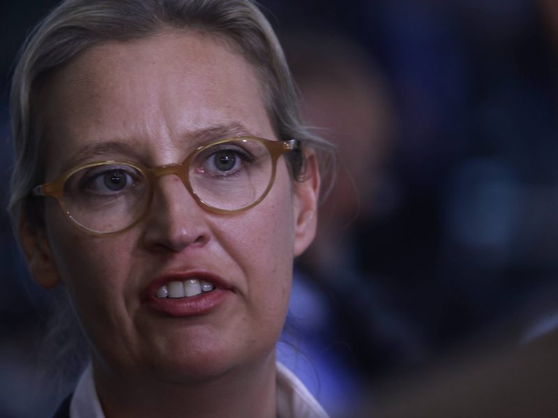 Alice Weidel