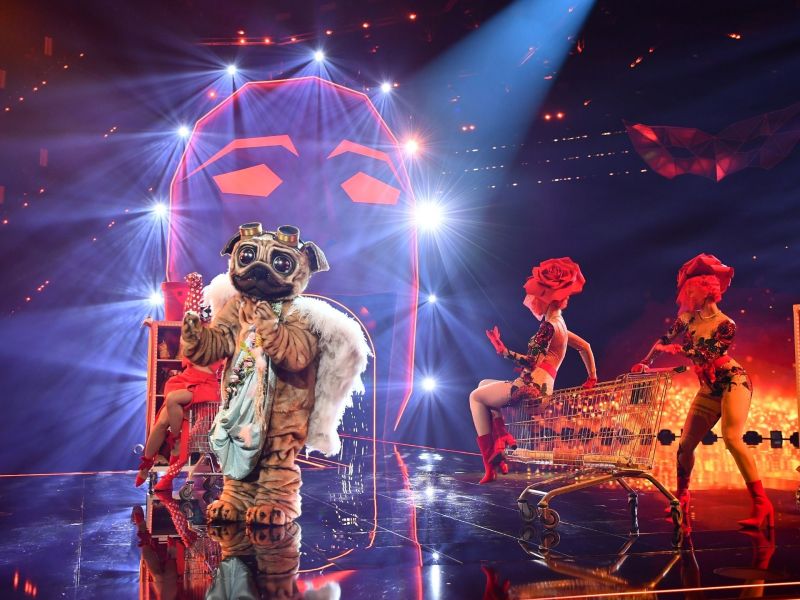 Der Teddy The Masked Singer Finale