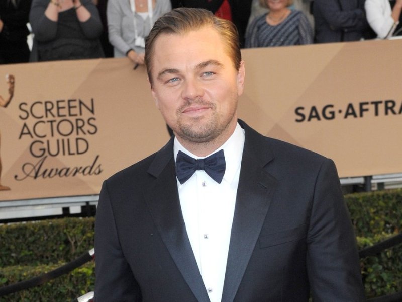 Leonardo DiCaprio hat sich für den Umweltschutz in Kamerun eingesetzt.. © Tinseltown / Shutterstock.com