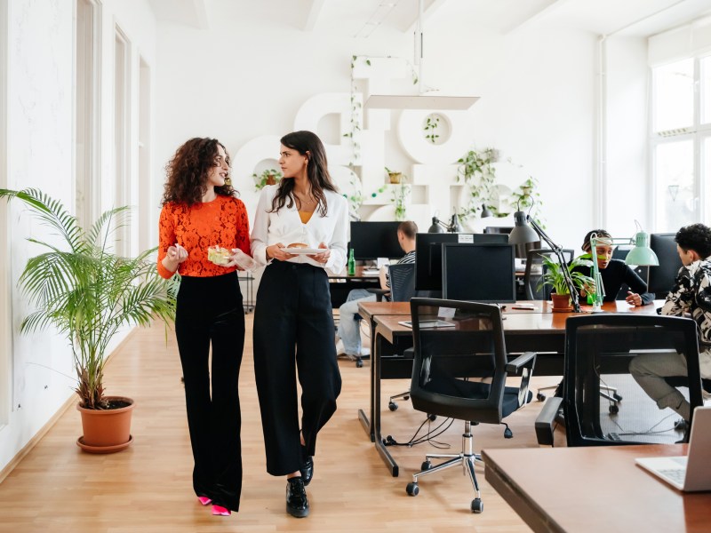 arbeit frauen kolleginnen