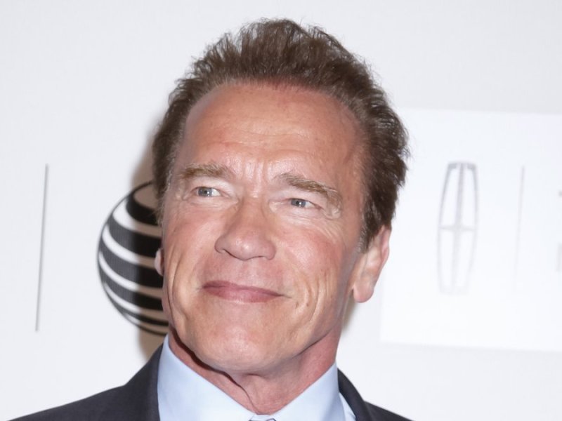 Ob Arnold Schwarzenegger in Zukunft öfter als Friseur tätig sein wird?. © Sam Aronov/Shutterstock.com