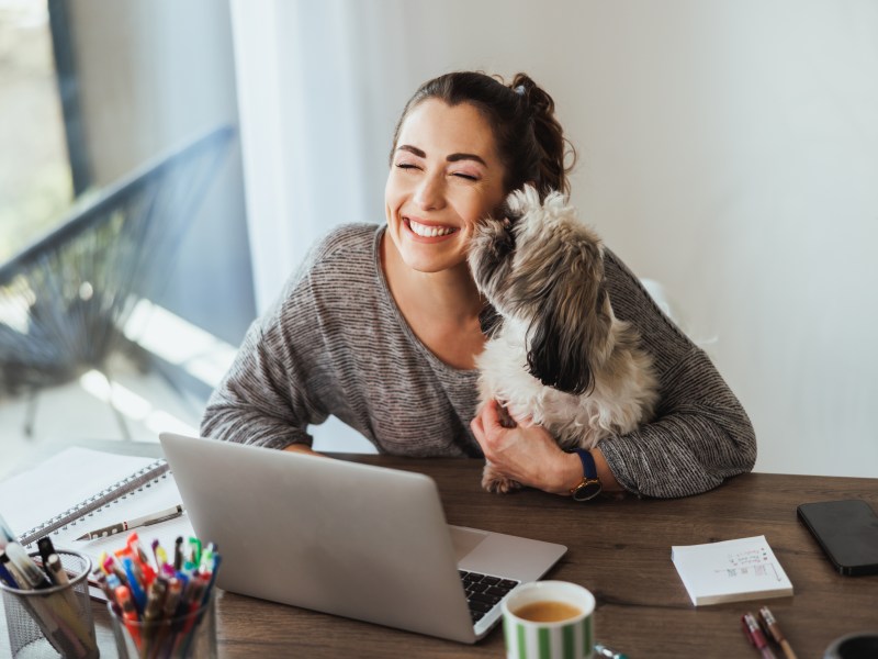 Frau mit Bürohund auf dem Schoß.