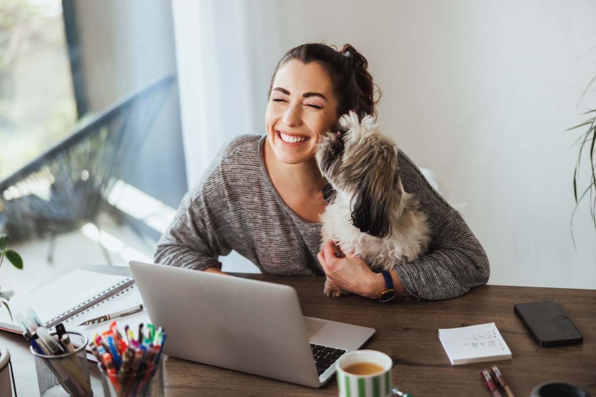 Frau mit Bürohund auf dem Schoß.