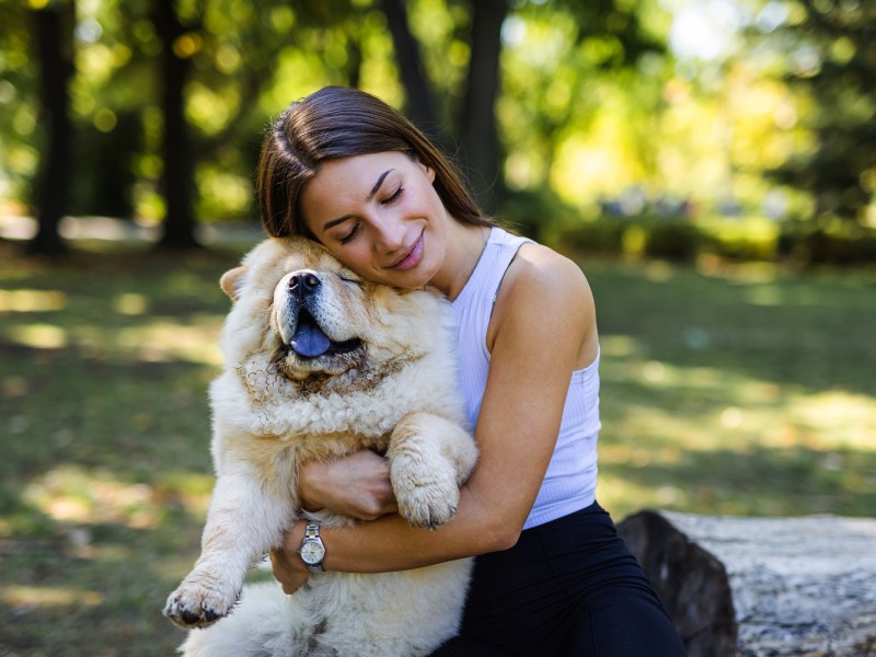 Chow chow mit Frau