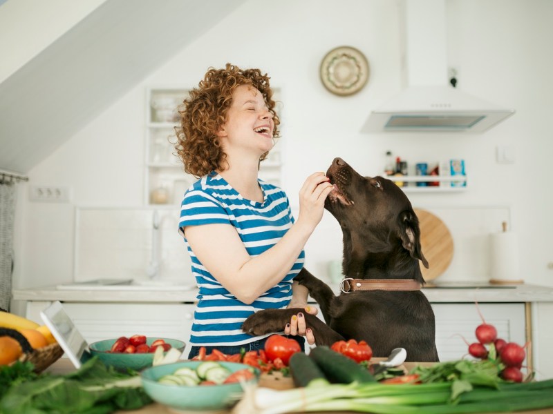 Frau gibt Hunde Gemüse