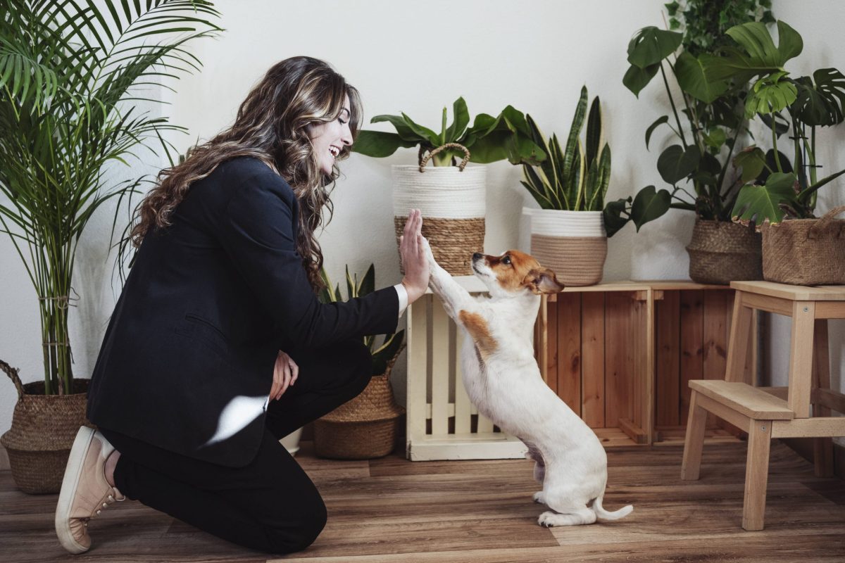 Frau mein Hund fürs Leben