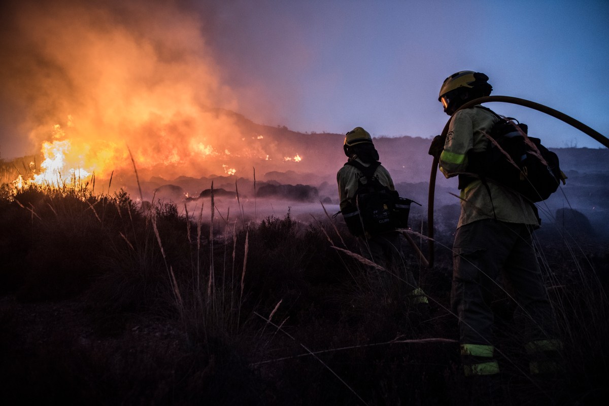 Hitzewelle Waldbrand