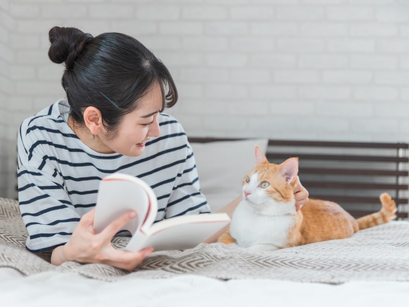 Katze und Frau liegen auf dem Bett und lesen.