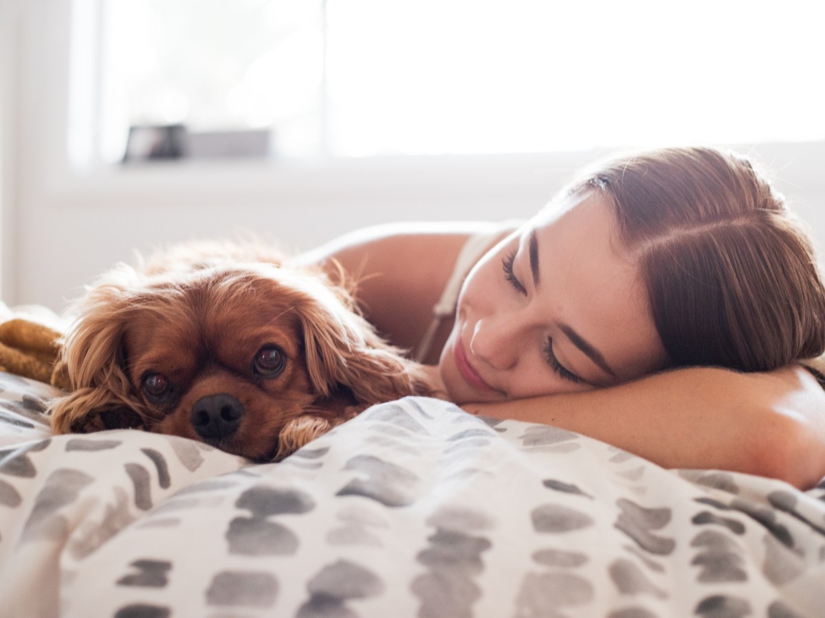 Der wahre Grund, warum dein Hund nicht im Bett schlafen sollte