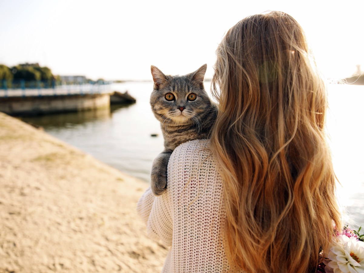 Frau hÃ¤lt Katze am Strand auf dem Arm.