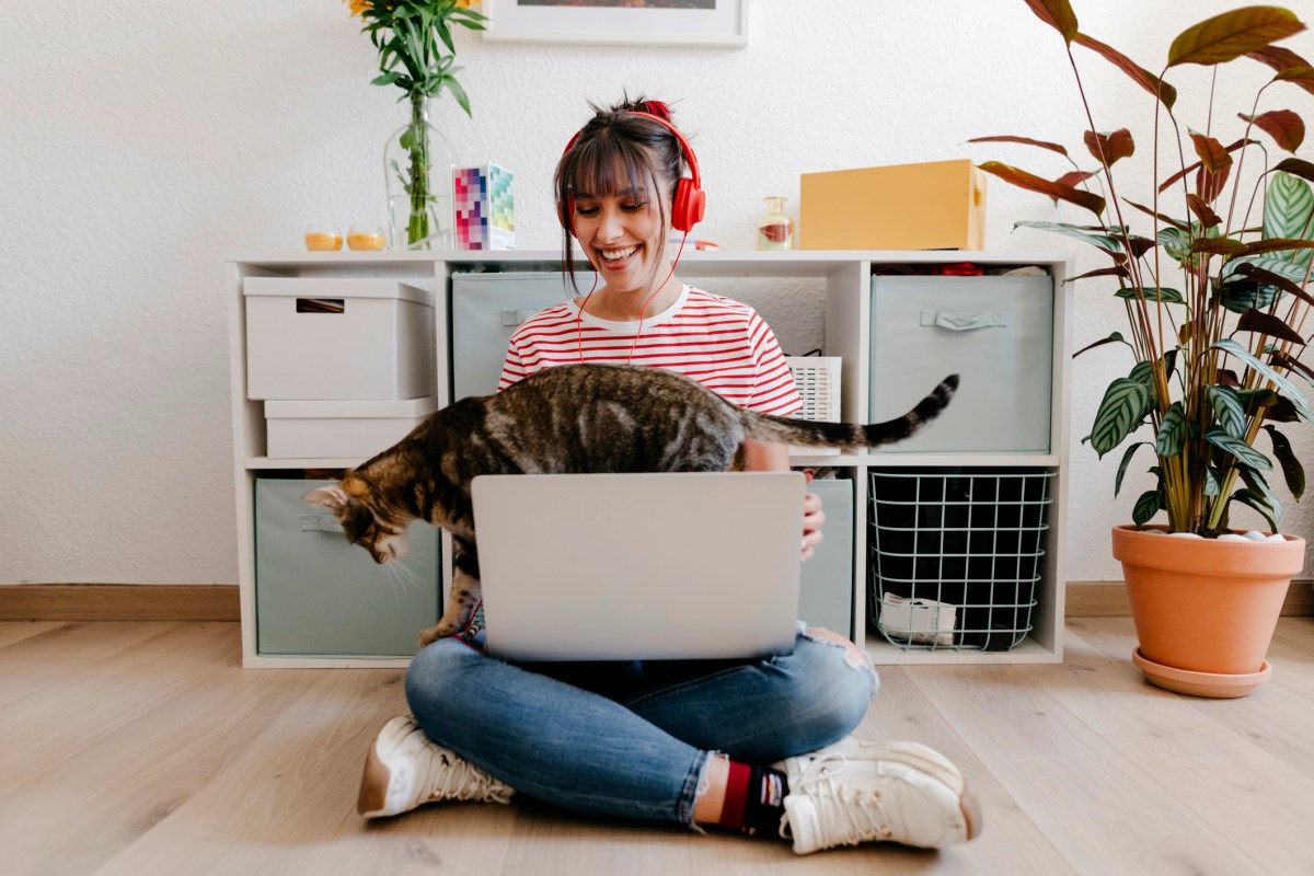 frau sitzt am laptop mit katze auf dem schoß