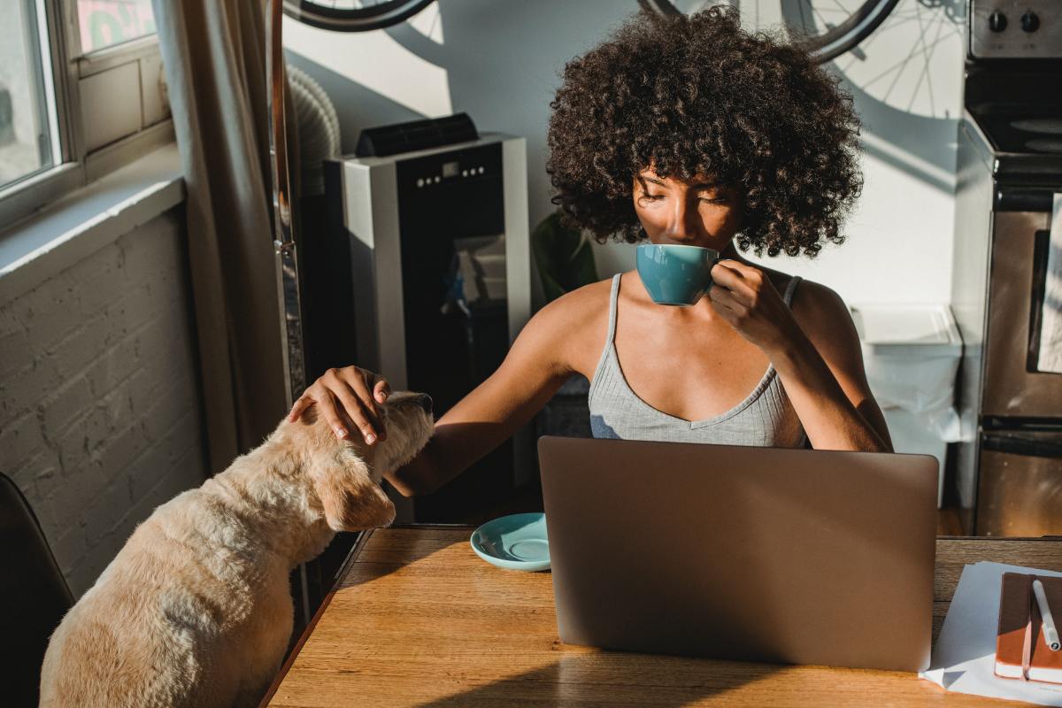 Frau mit Katze am Laptop