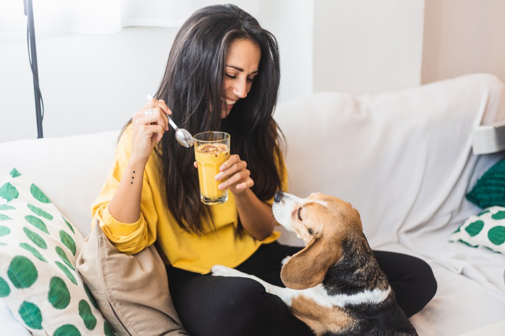 Smoothies für Hunde