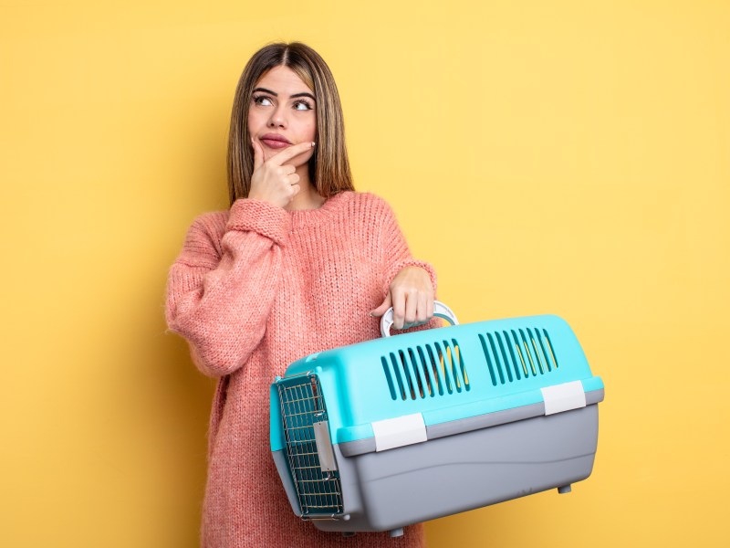 Junge Frau trägt einen Transportbox in der Hand.