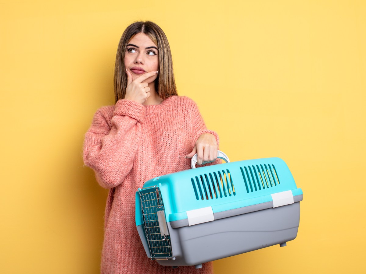 Junge Frau trÃ¤gt einen Transportbox in der Hand.