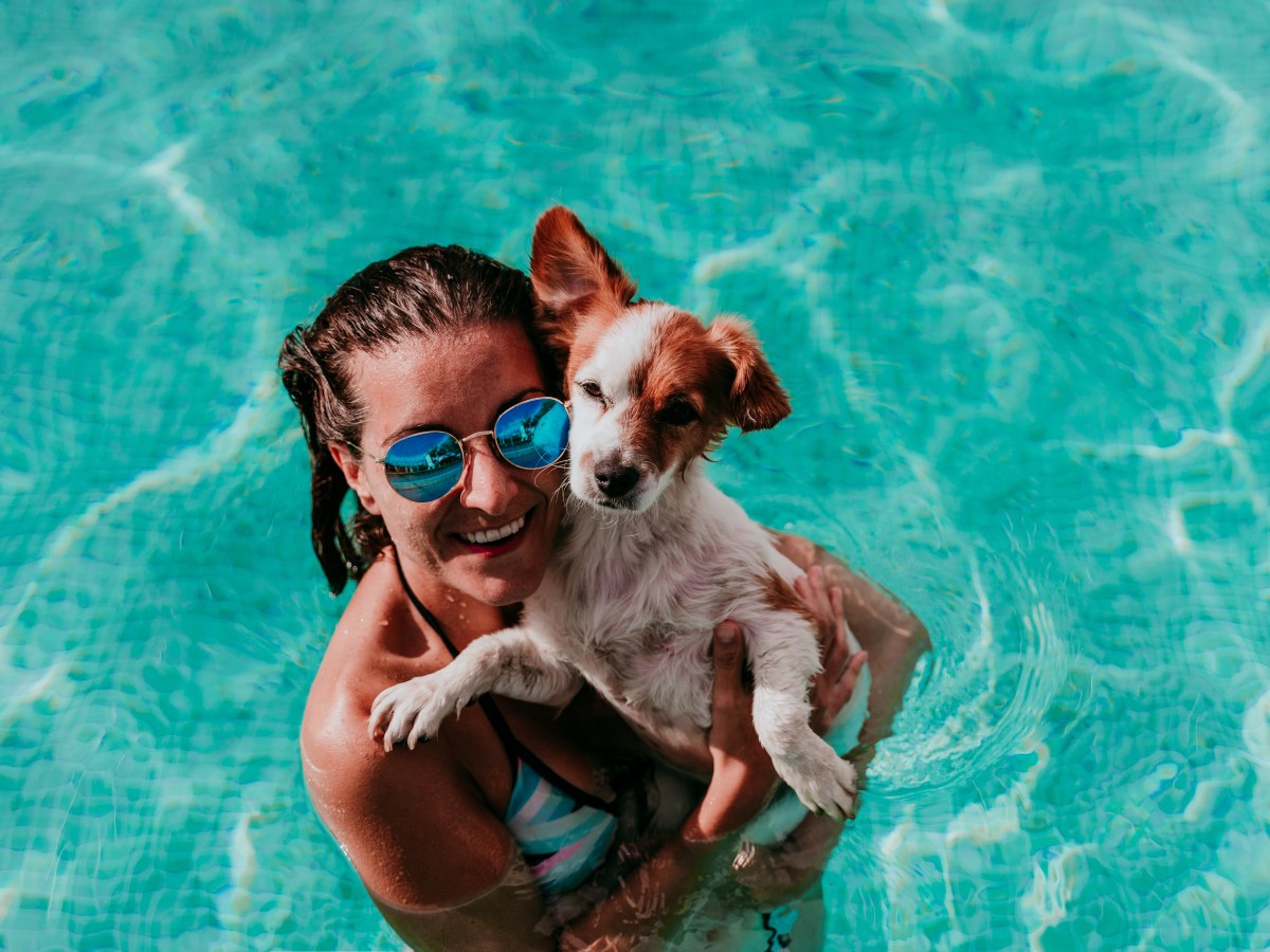 Sonnencreme für Hunde: Diese 6 Körperstellen solltest du schützen