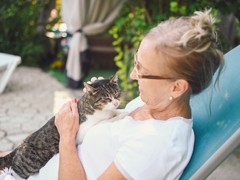 Alte Katze auf dem Arm einer reifen Frau