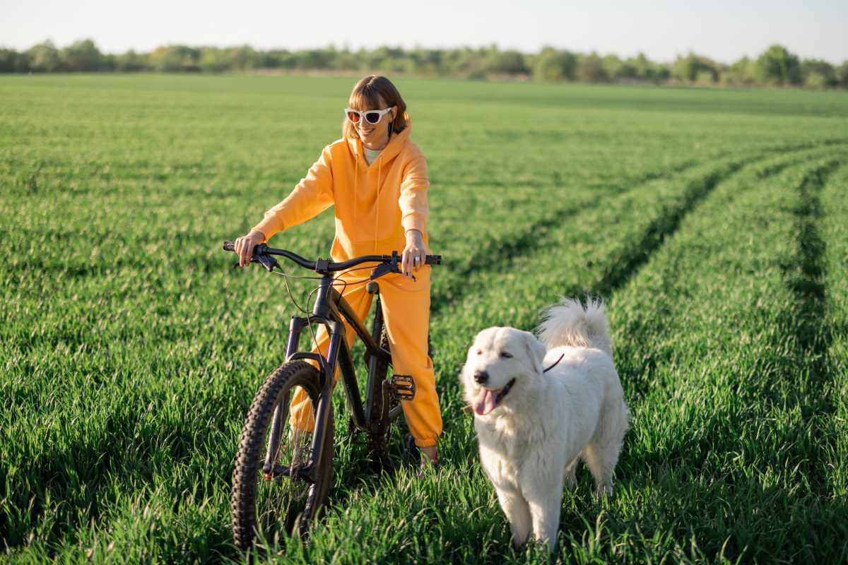 Hund läuft neben einer Frau auf dem Fahrrad.