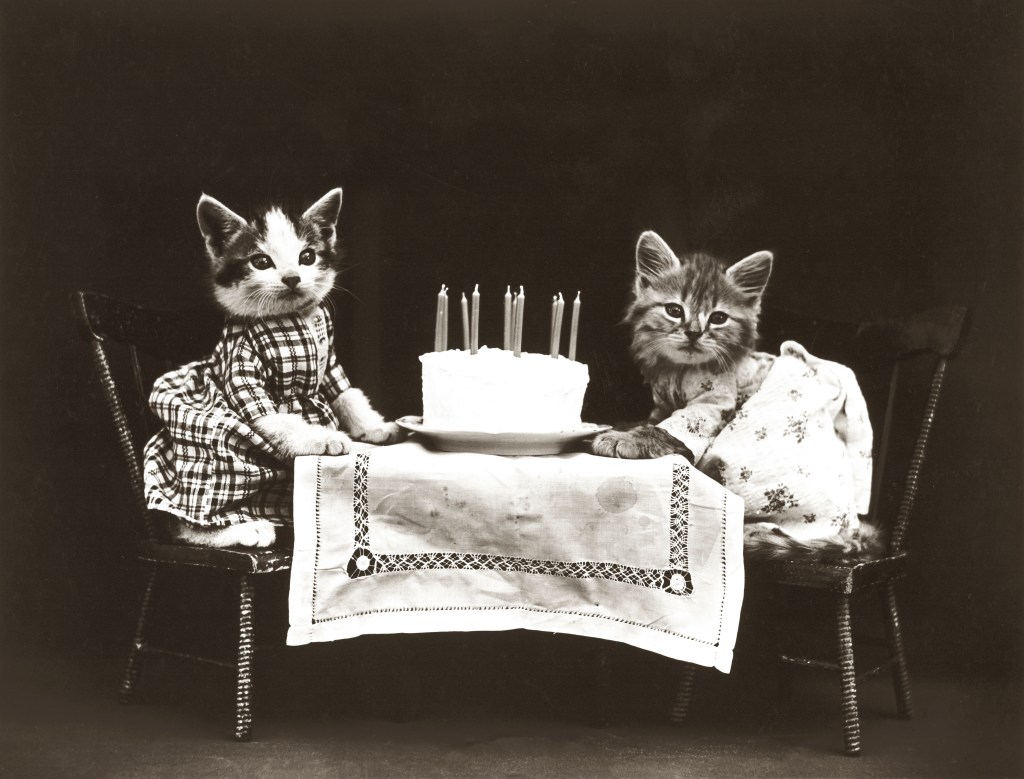 Zwei Katzen am Geburtstagstag, 1914