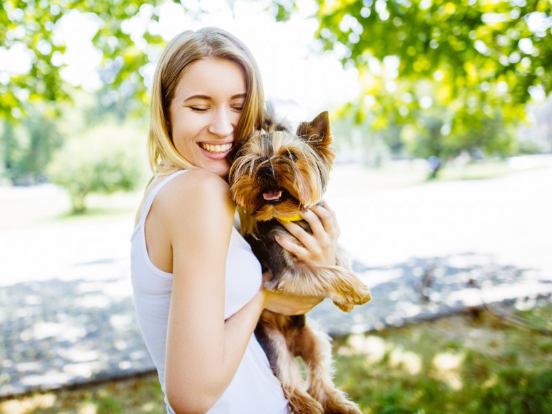 Frau will Hund an den Ohren massieren im Park