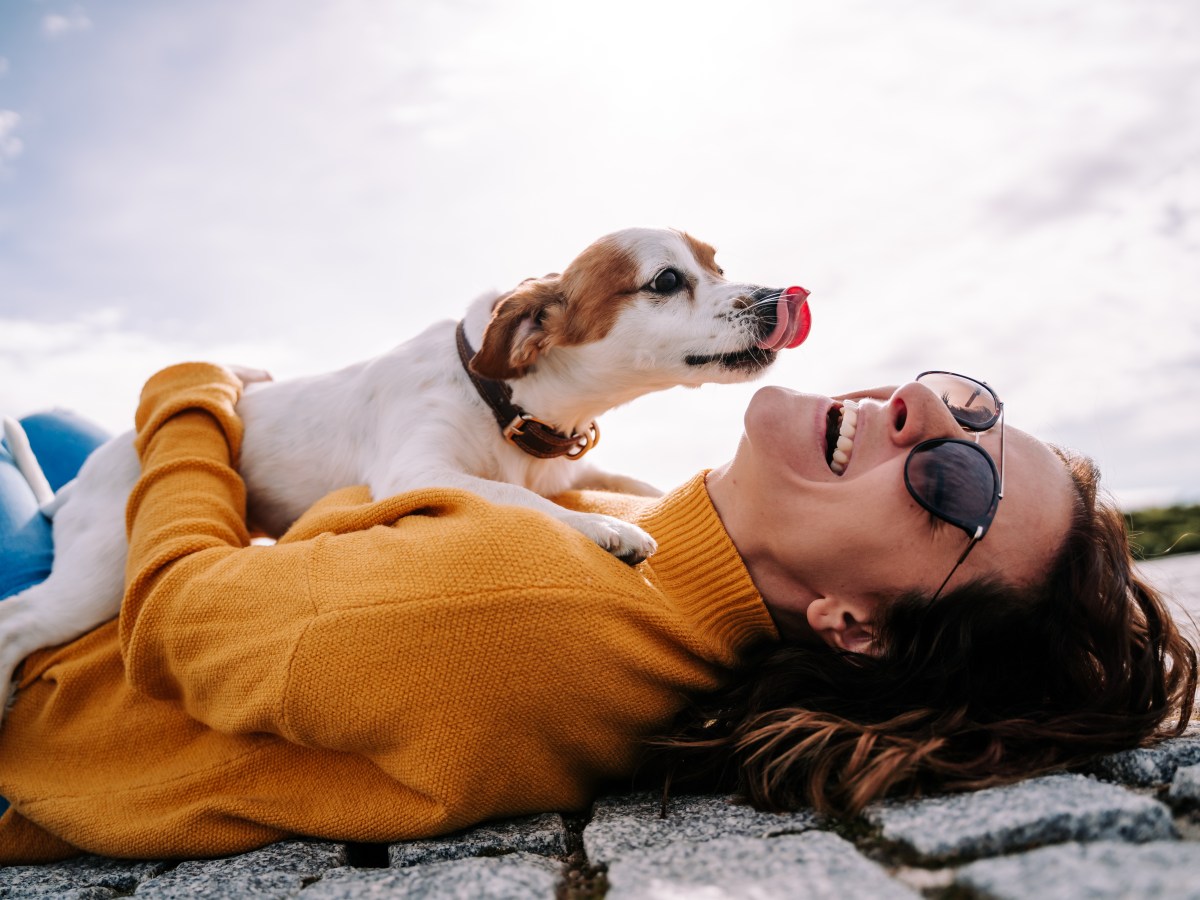 Hund schleckt Frau das Gesicht ab