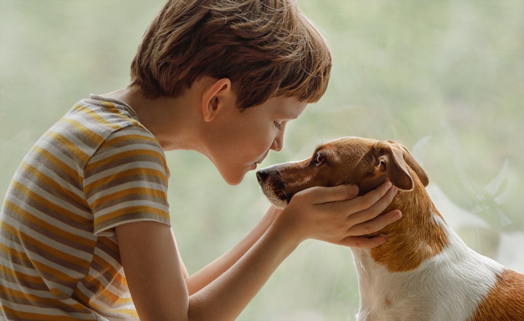 Kind küsst Hund auf die Nase