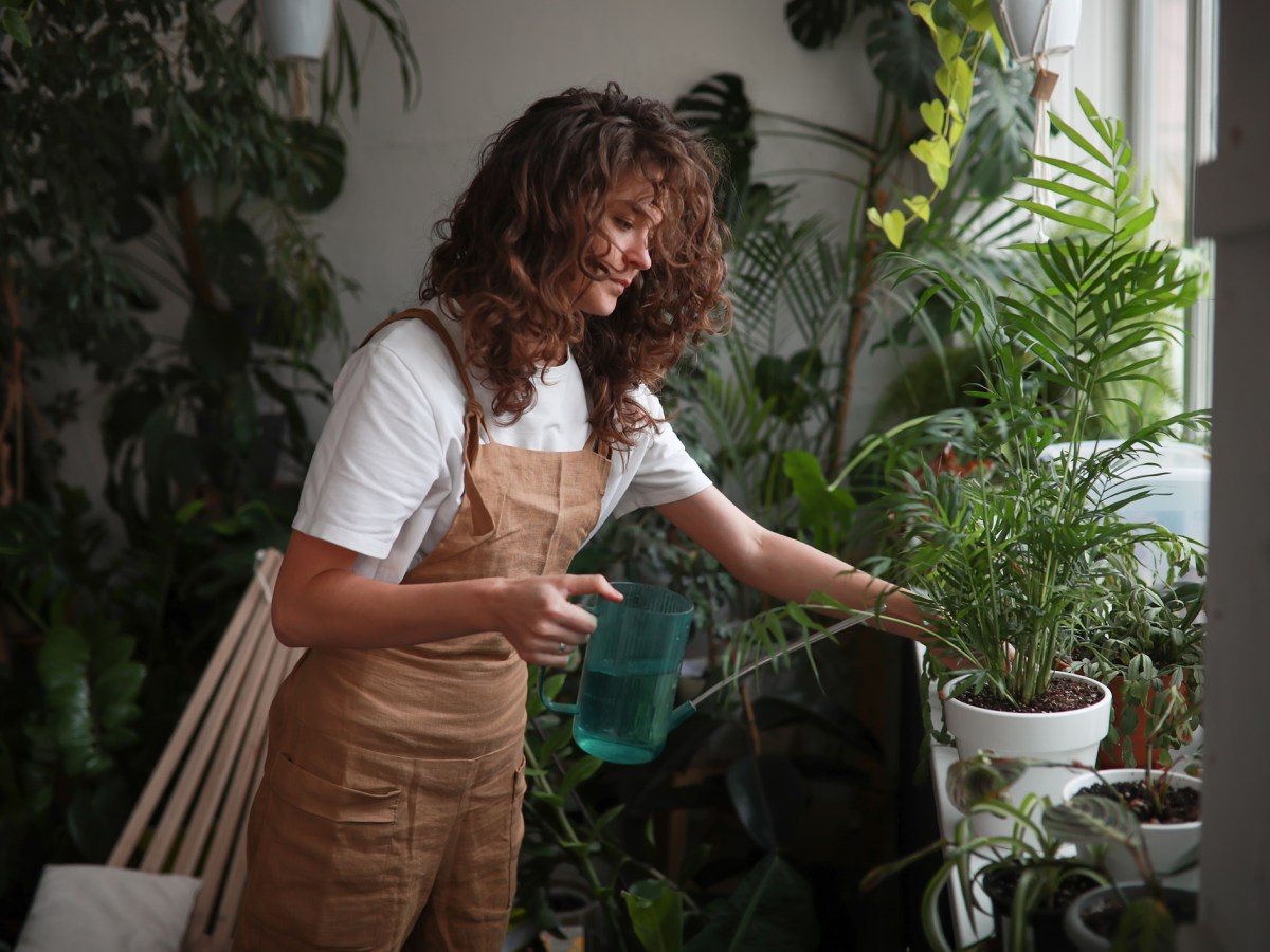 Urban Gardening: 5 Tipps, wie du deine Pflanzen pflegen kannst
