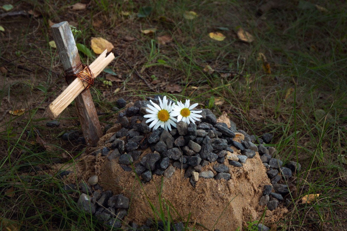 Ein Tiergrab im Garten. Darauf liegen Blumen.