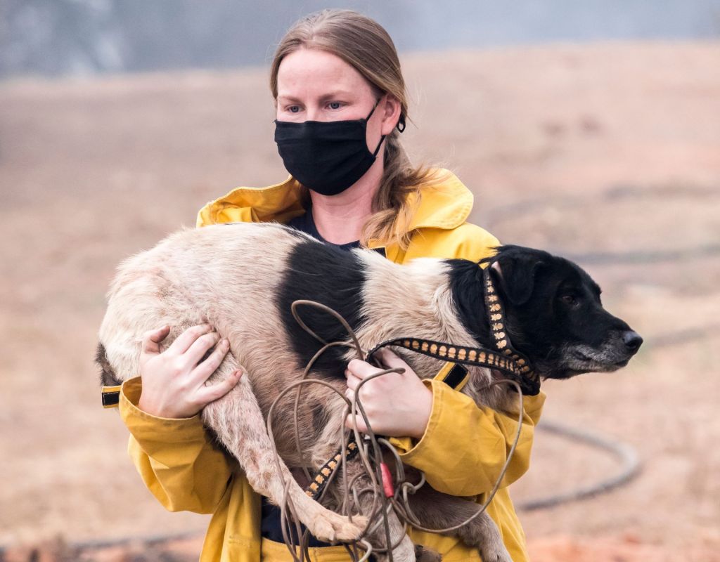 Jennifer Gardner mit Hund