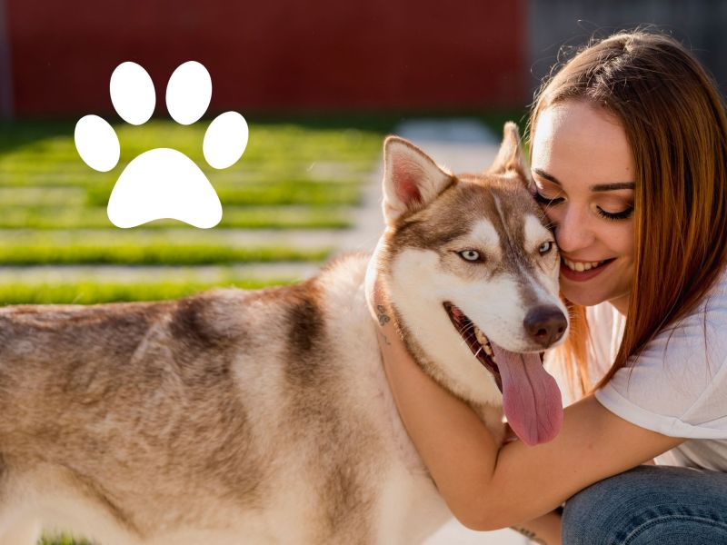 Hunde Tattoos: Tolle Motive für dein Kunstwerk