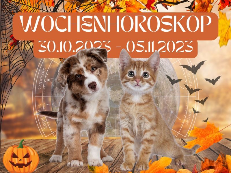 Horoskop Haustiere 30.10.2023-05.11.2023