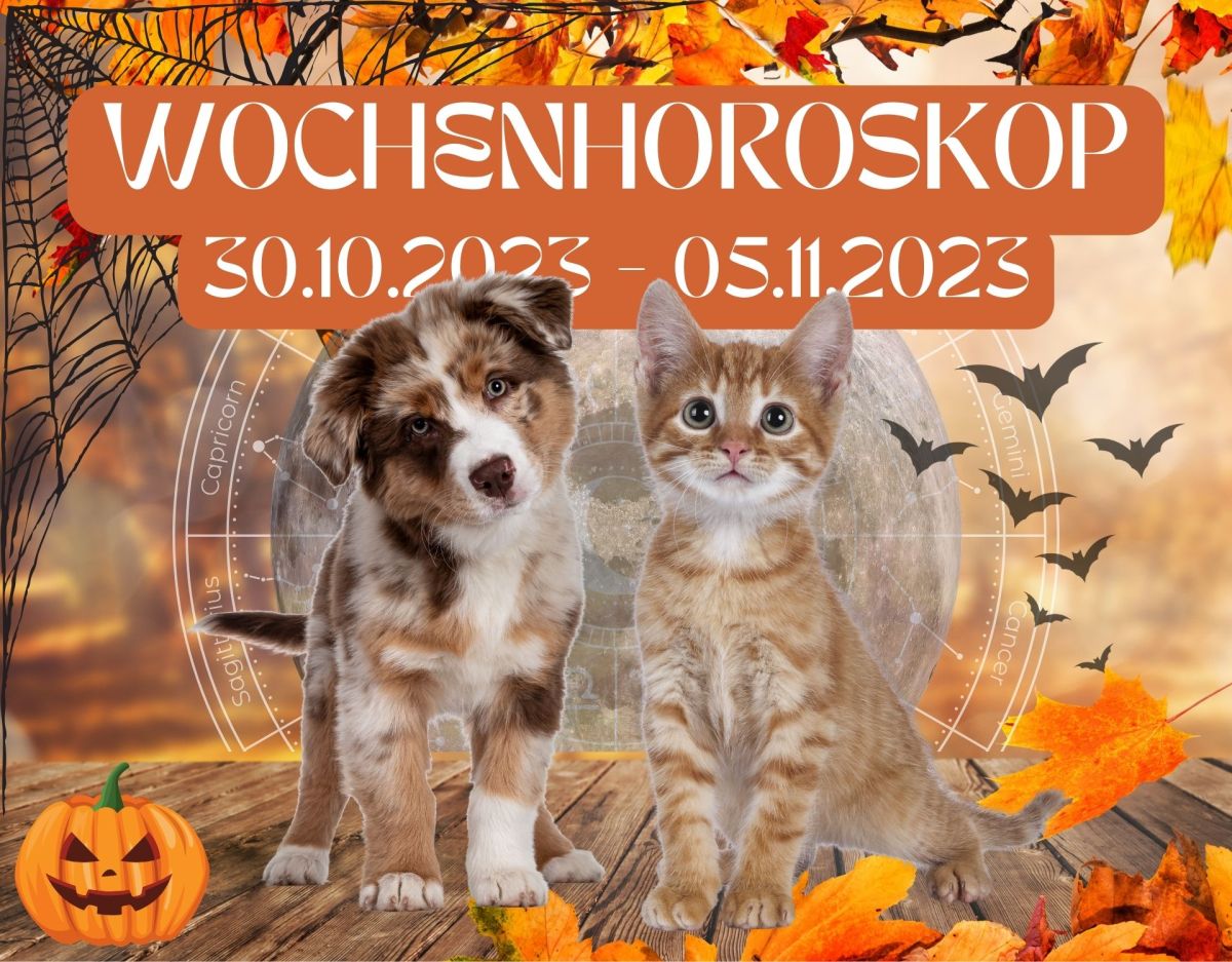 Horoskop Haustiere 30.10.2023-05.11.2023