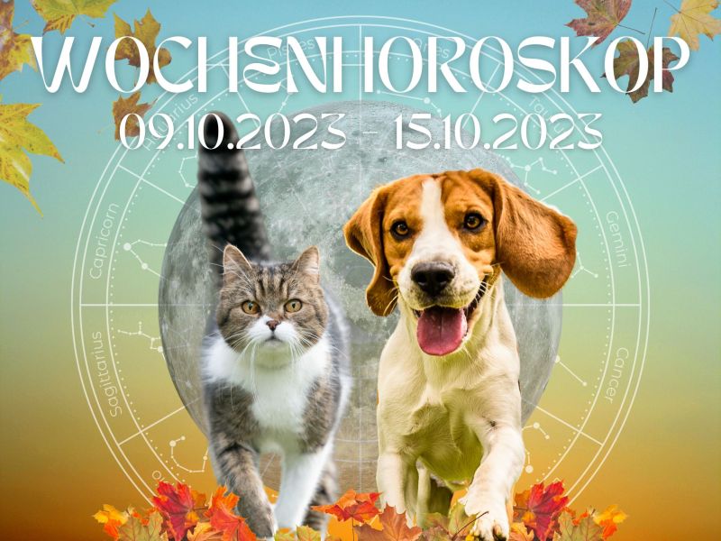 Wochenhoroskop Haustiere 09.10.2023 - 15.10.2023