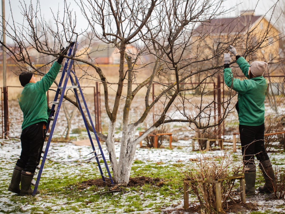 Garten winterfest machen: Die ultimative Checkliste