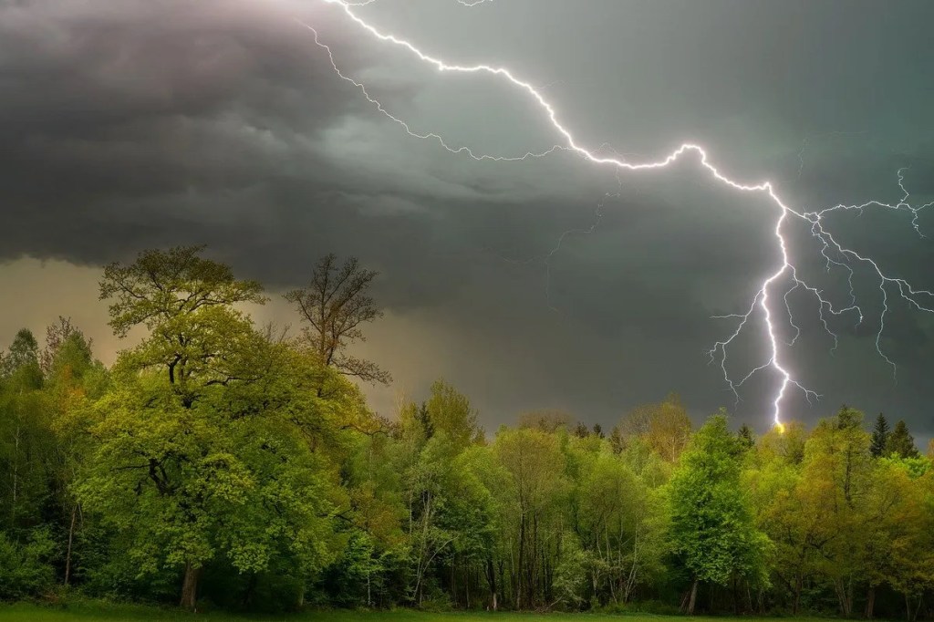 Ein Gewitter über dem Wald.