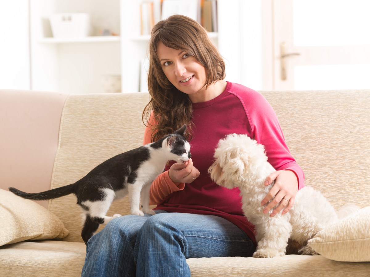 Frau gibt Hund und Katze FÃ¼rsorge auf dem Sofa