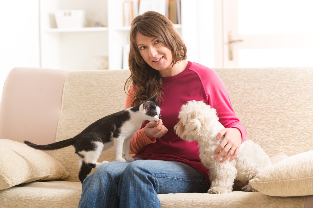 Frau gibt Hund und Katze FÃ¼rsorge auf dem Sofa