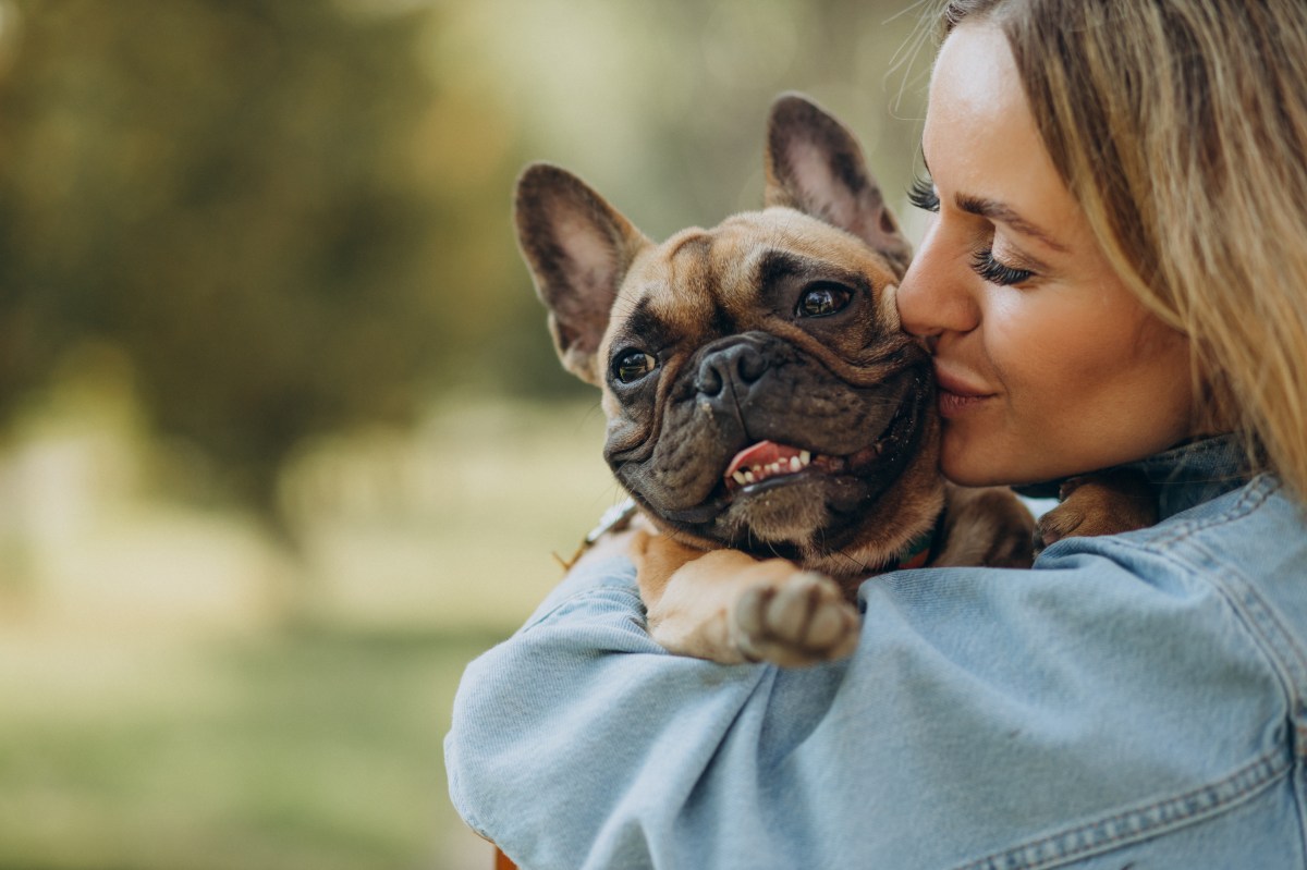 Frenchie auf dem Arm einer Frau